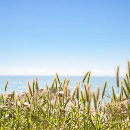 شقة Ideal Two-room With A Large Terrace And Parking فينوف لوبيه